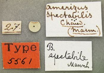 Media type: image;   Entomology 5561 Aspect: labels